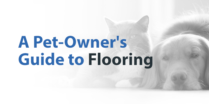 pet owner's guide to flooring