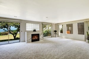 Carpeted Room in House