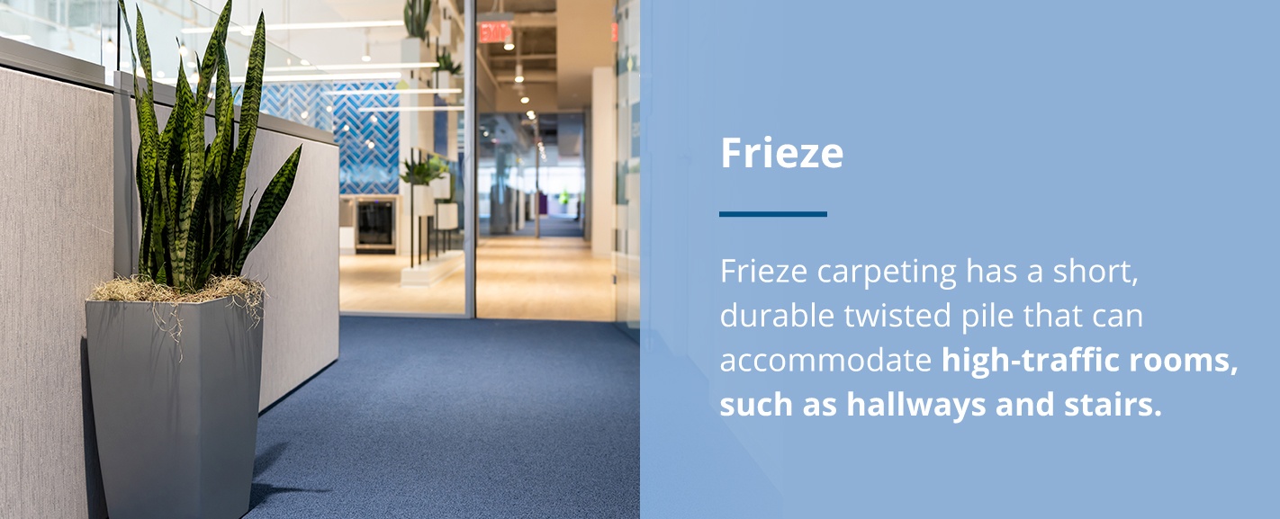 Frieze Carpet Styles