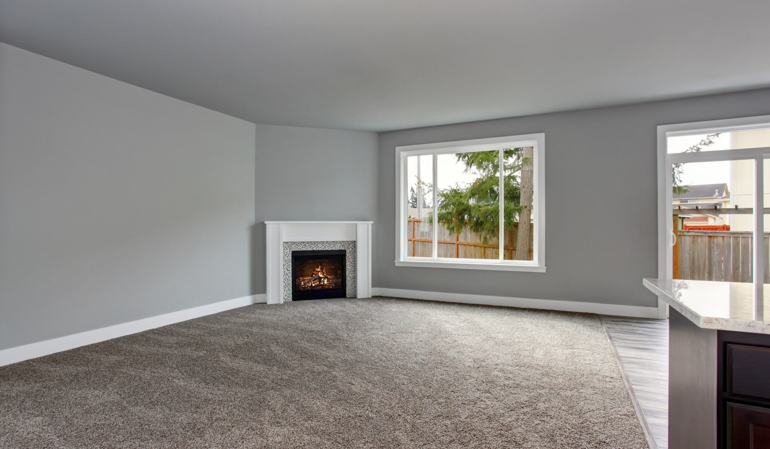 living room with carpet