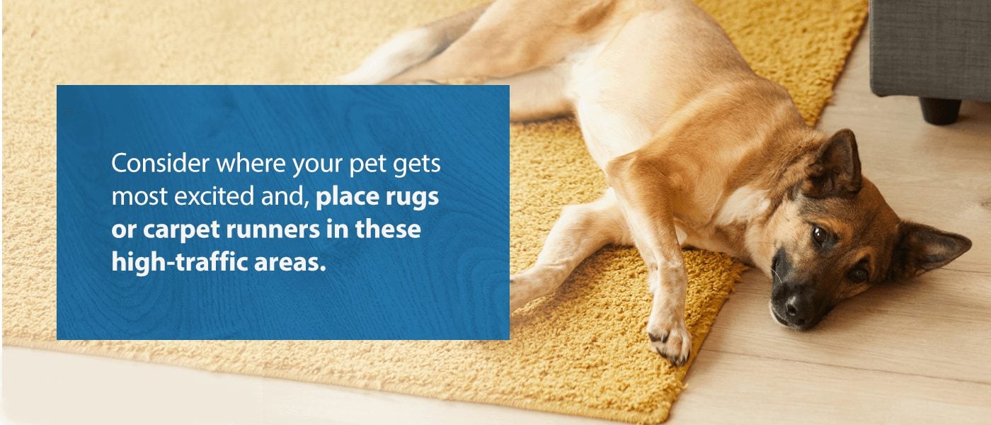 Protect Your Floors and Your Pooch with a Pet Friendly Rug