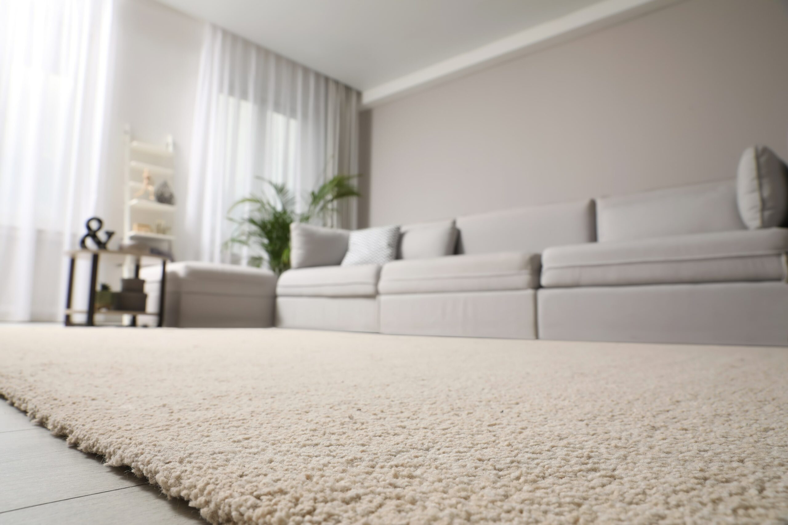 rug under couch