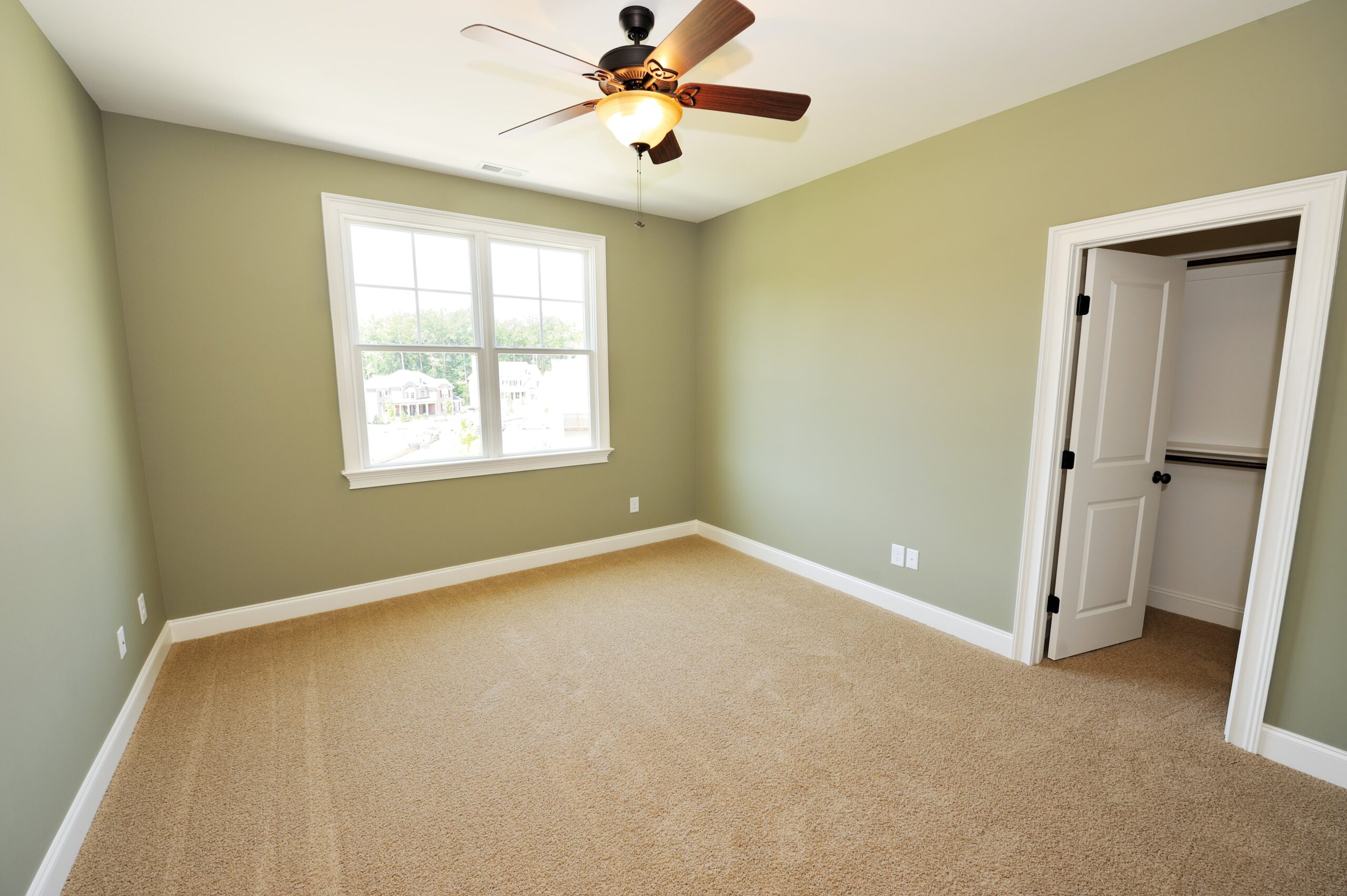 Neutral Carpet