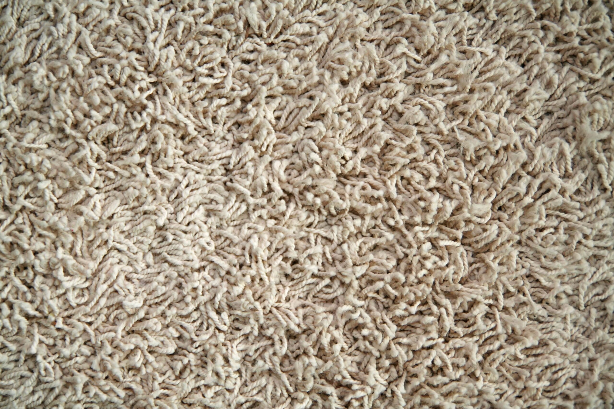 Up-close carpet photo