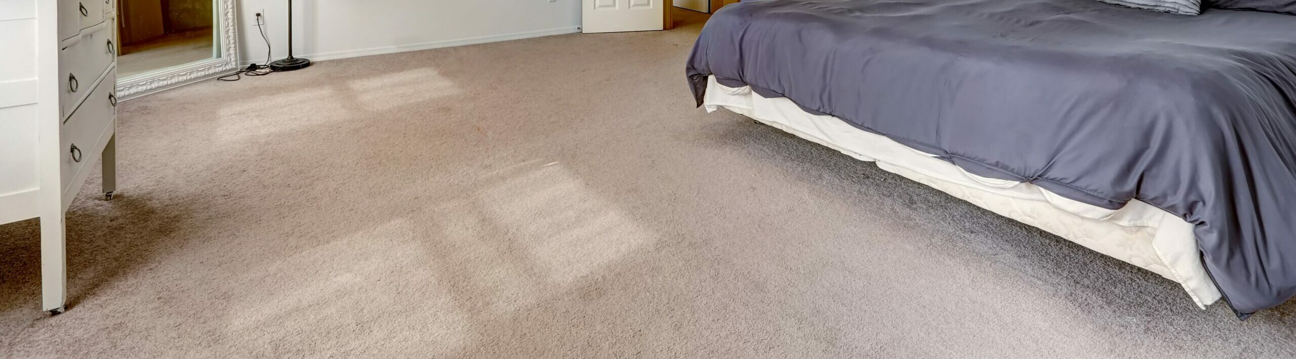 Bedroom with carpet and bed with blue bedding
