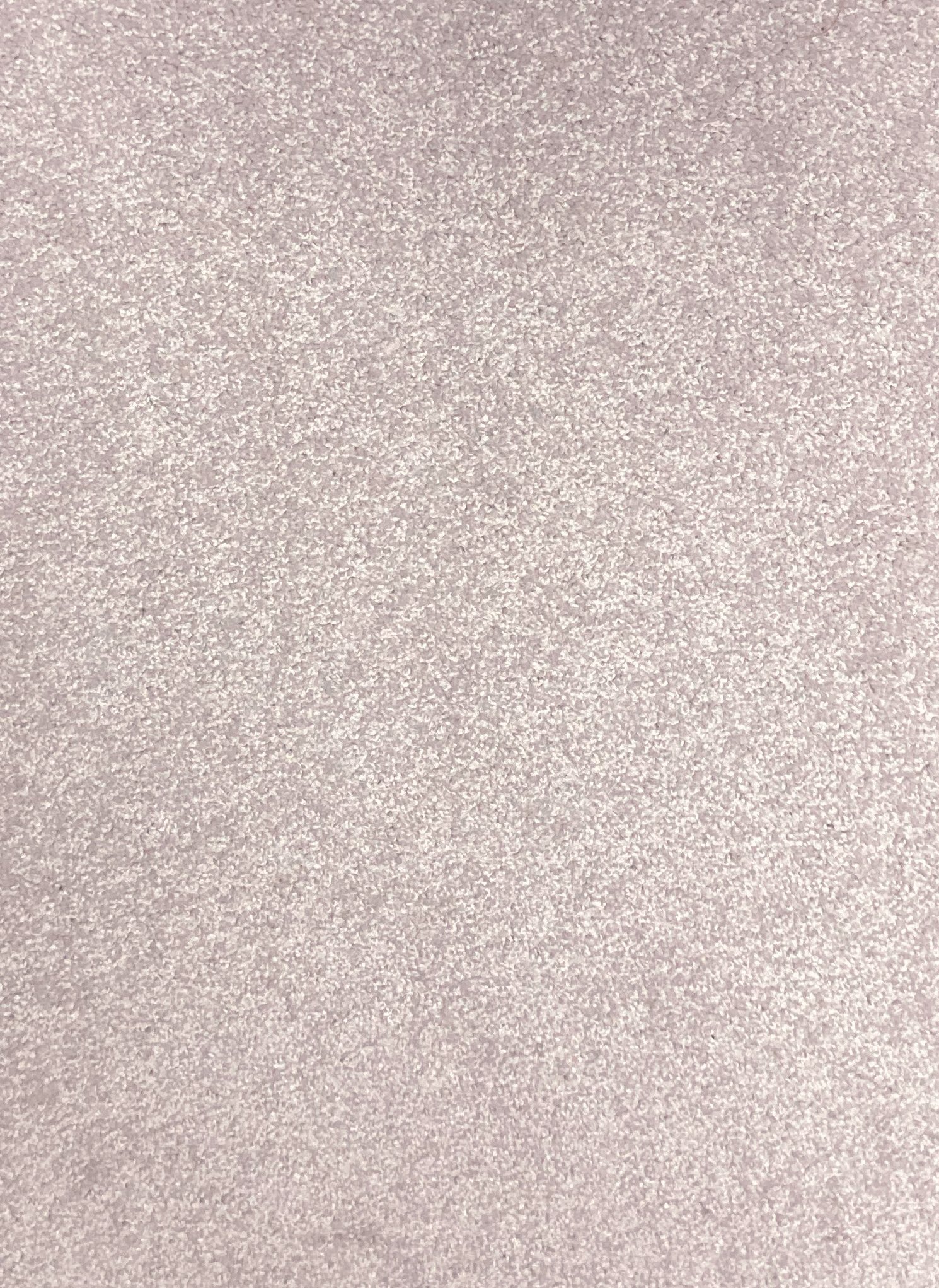 Beige Carpet