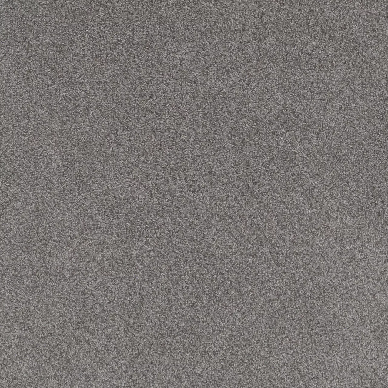 carpetcompany サーマル carpetcompany サーマル