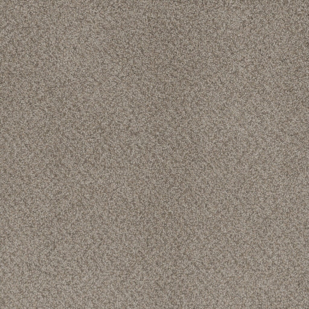Utopia Angel Utopia : Angel Wing - Premium Carpet Products Flooring (Beige)